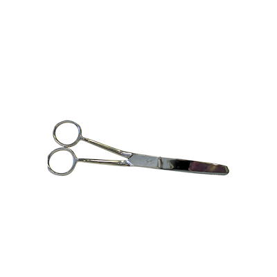 100151 overlinje saks .png