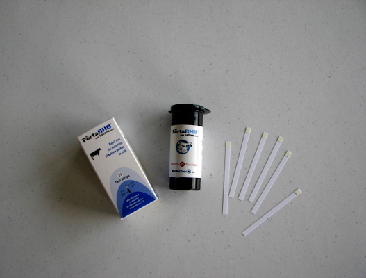 100207 Ketose strips