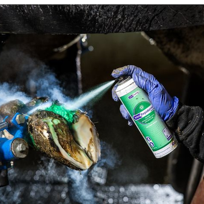 100264 repiderma miljø 2.png