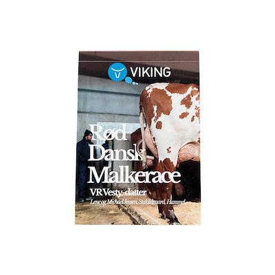 100354 A7 blok RDM.png