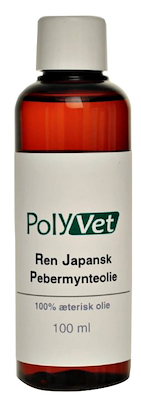 100608 Pebermynte100.jpg
