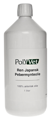 100609 Pebermynte1000.jpg