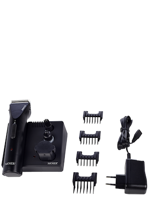 100982 moser-arco-751x1024.png