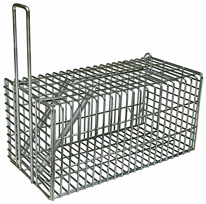 101011 rottefælde.jpg