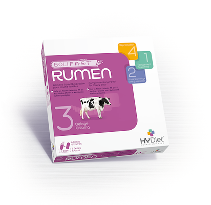 101083 BOLIFAST RUMEN.png