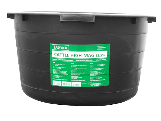 101541 High Mag.jpg