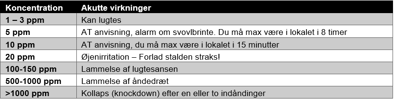101685, koncentration.PNG
