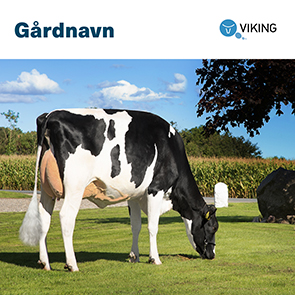 101769 Gårdskilt Holstein 1000x1000mm.jpg