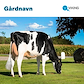 101769 Gårdskilt Holstein 1000x1000mm.jpg