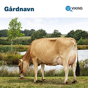 101769 Gårdskilt Jersey 1000x1000mm.jpg