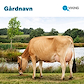 101769 Gårdskilt Jersey 1000x1000mm.jpg