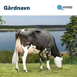 101769 Gårdskilt Krydsning 1000x1000mm.jpg
