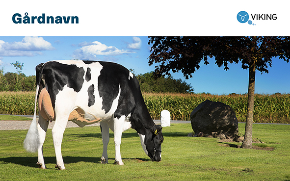 101770 Gårdskilt Holstein 2000x1250mm.jpg