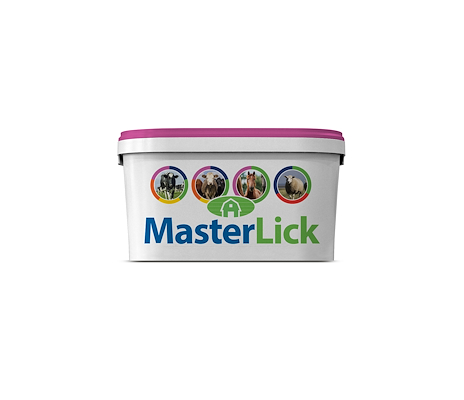 101791 MasterLick dry nature.jpg