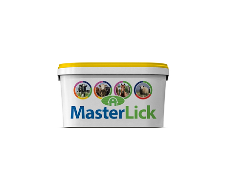 101907 MasterLick pre calver.jpg