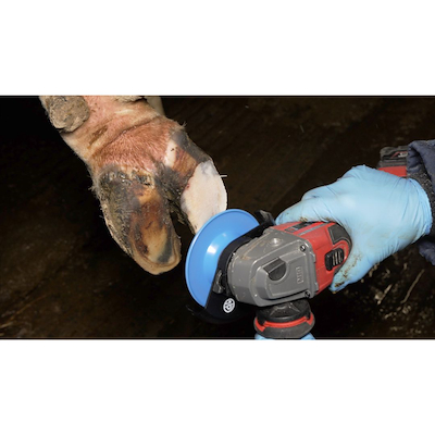 102024 Bovi klovskive mtungsten3.jpg