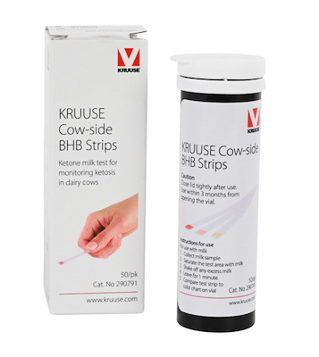 102272 Kruuse BHB strips 50 stk. 1.jpg