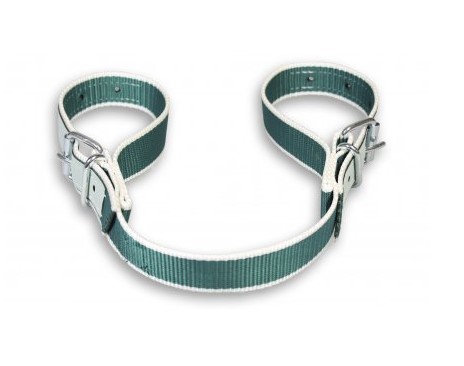 102301 bensele 2 spænder.jpg