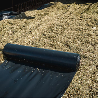 102714 - Plastik.jpg