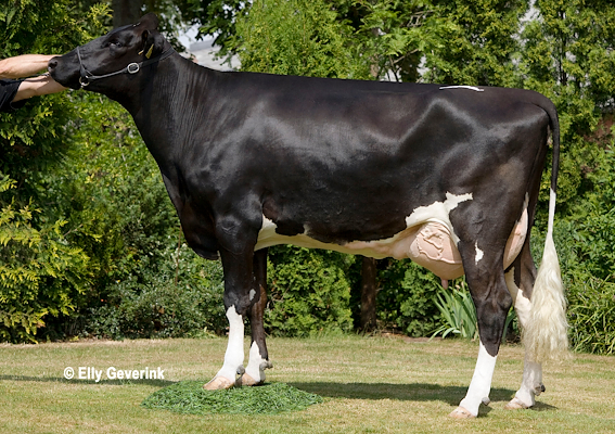 Mor til VH Bynke fra Johan & Finn Høyer