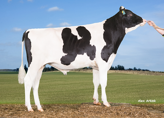 3-5110 VH Haldir.jpg