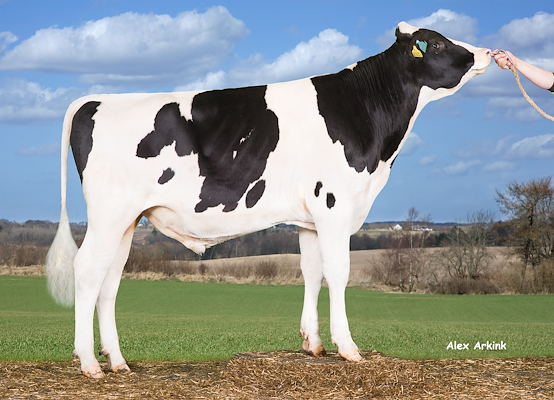 3-5114 VH Fimpen.jpg