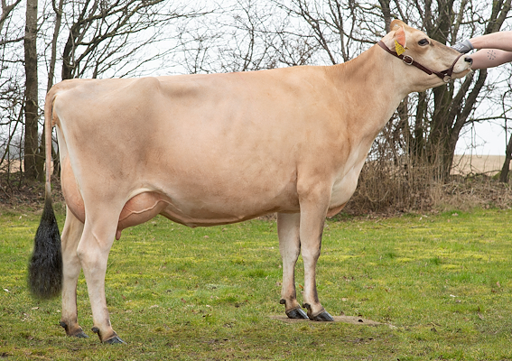 VJ Hays datter fra I/S Fuglsang, Aars