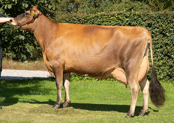 VJ Hitman datter fra Jørgen Kjølby, Hjørring