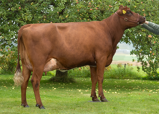 VR Bourne datter fra Nils-Peter Nilsson, Sverige