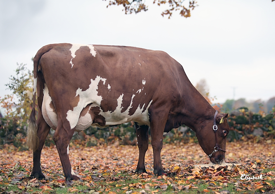 VR Game-datter fra Ingemar Andersson Överstegården N Lundby Axvall