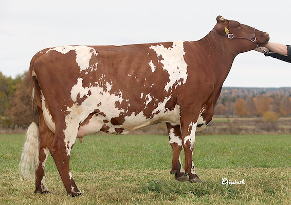 VR Game-datter fra Stig Mjälgård, Mjälen, Blidsberg