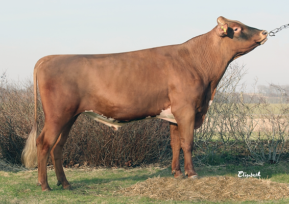 6003_3-9566 Helix.jpg