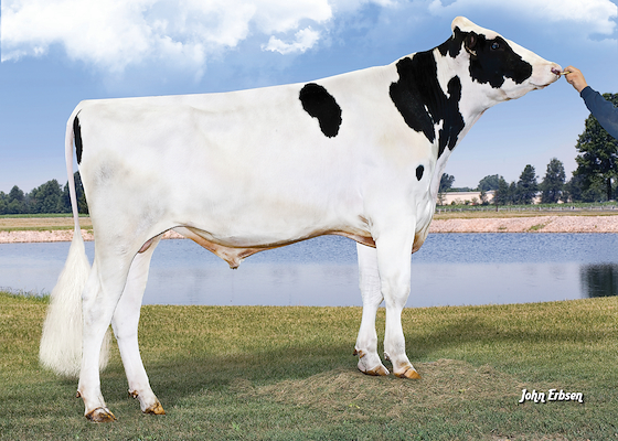 7HO11477s_01_201204_De-Su BKM McCutchen 1174-ET.jpg