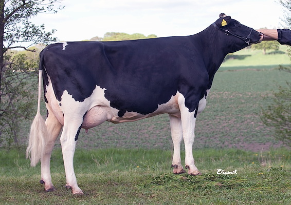 Mor til VH Saturn fra Salltorp Lantbruk AB, Salltorp 105, 311 65 Vessigebro