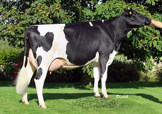 Mor til VH Ozze fra Br Bengtssons Lantbruk AB Olofstorp 1 43292 Varberg