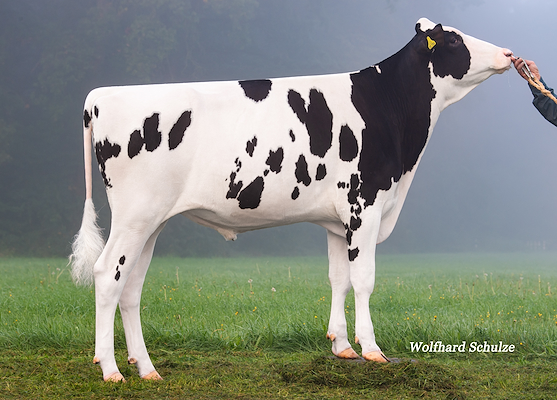 Comet (Concept) 267626.jpg