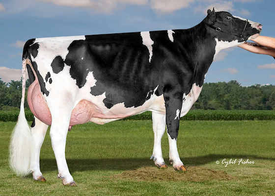 Dam of Miller.jpg