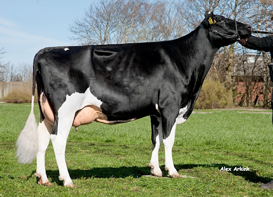 Mor til VH Skipper fra I/S Hedelund, Aalestrup