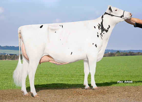 Mor til VH Spooky fra Anderstrup Holstein, Skørping