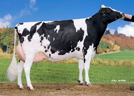 Mor til VH Ursus fra Vognsild Østergaard I/S, Aars