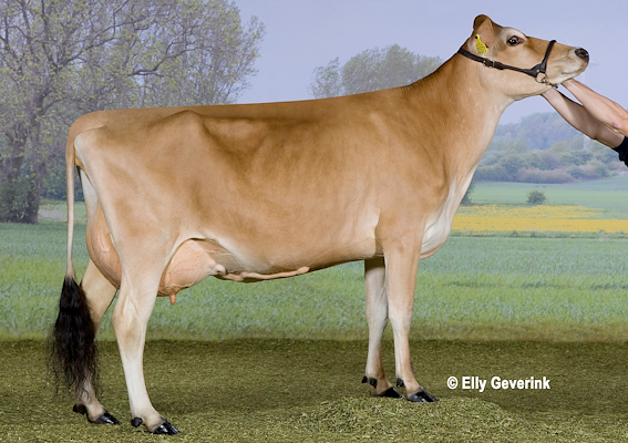 DJ Zuma-datter fra Nels Poulsen, Mern