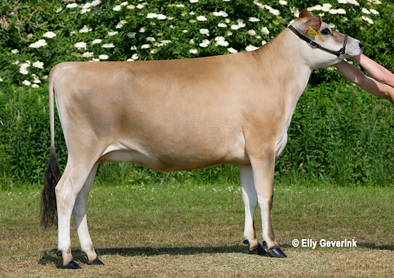 DJ Zuma-datter fra Jørn Mikkelsen, Søften