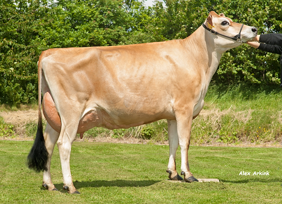 DJ Zuma-datter fra Jørn Mikkelsen, Søften