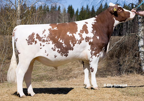 EG1305011_VR Filemon.jpg