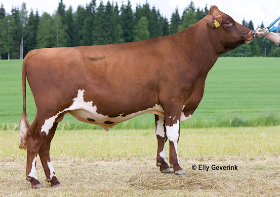 EG1306073 VR Haltia.jpg