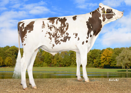 Flyer 917703 v Flight Red Seitenbild 2023-07.jpg