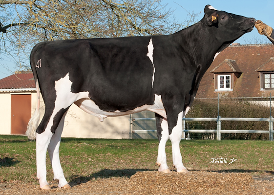 FR2832013846.Fexter Cap.Super.jpg