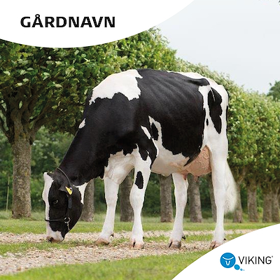 Gaardskilt 1000x1000 DH.jpg