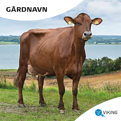 Gaardskilt 1000x1000 Red.jpg