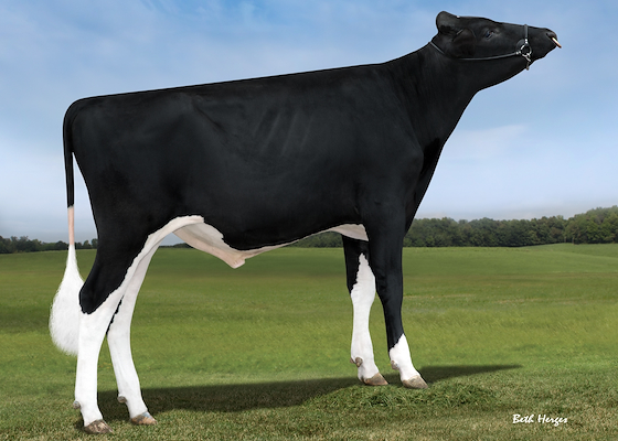 HMB9649 Blondin Tjr Aramis.jpg